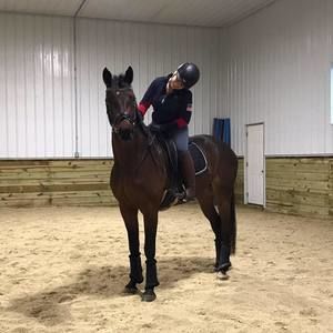 Meet your Posher, Alex